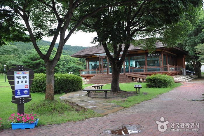 Gangjin Goryeo Celadon Kiln Site (강진 고려청자 요지) — How To Get To Gangjin Goryeo Celadon Kiln Site From Seoul