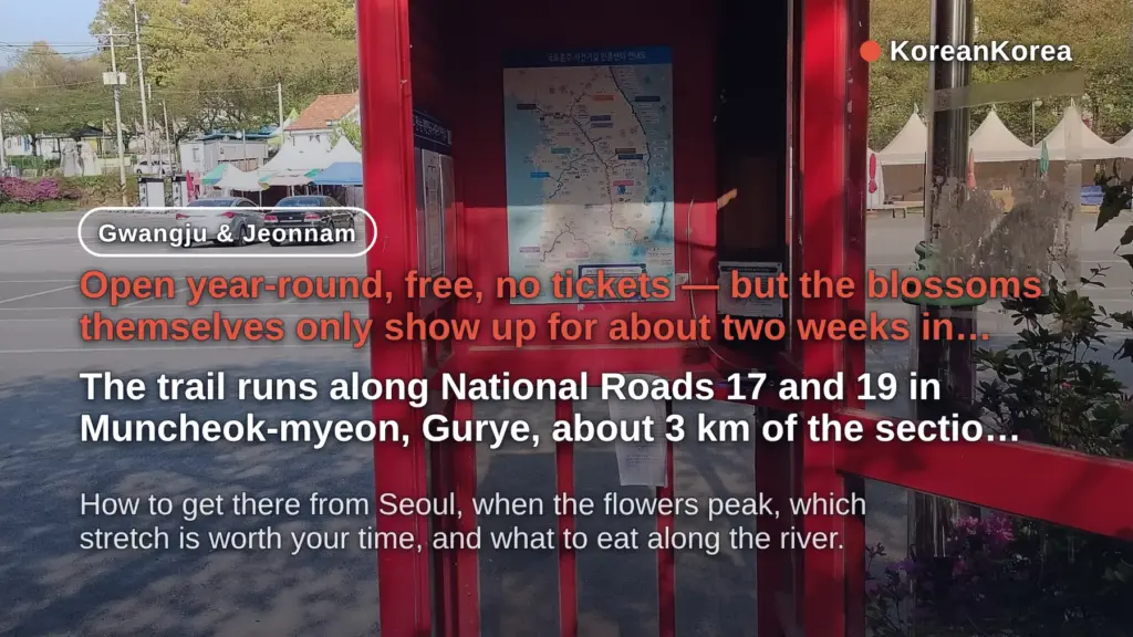 Gurye Seomjingang Cherry Blossom Trail: When and How to Go