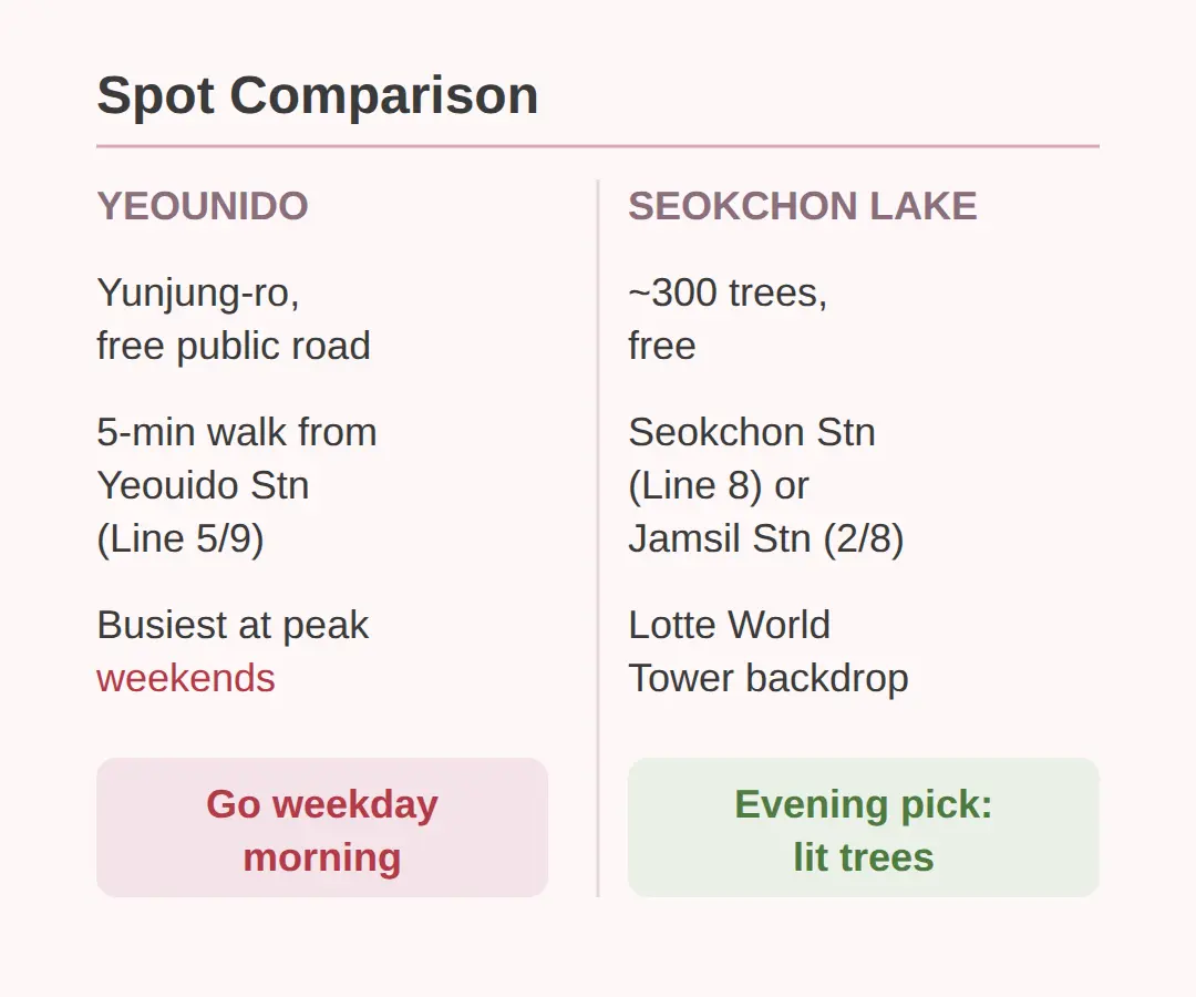 Best Time of Day to See the Blossoms