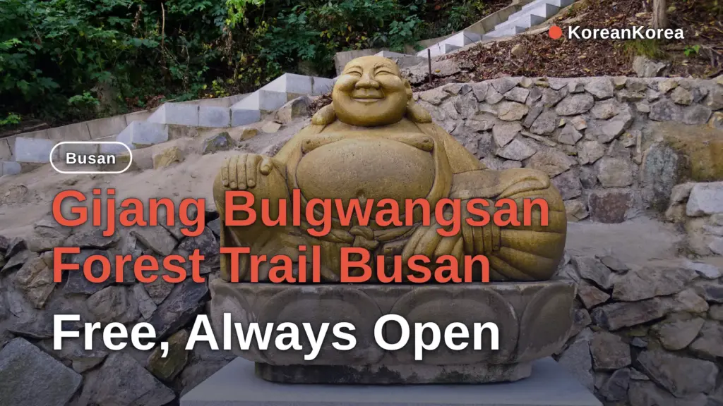 Gijang Bulgwangsan Forest Trail Busan: Free, Always Open