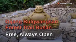 Gijang Bulgwangsan Forest Trail Busan: Free, Always Open