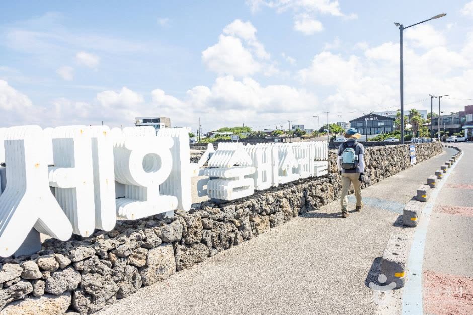 Jeju Olle Trail Route 20 (올레 20코스) — When to Walk It and What to Bring