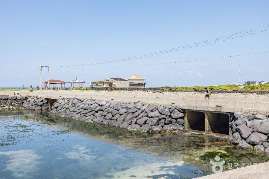 Jeju Olle Trail Route 20 (올레 20코스) — How Long Does Each Jeju Olle Route Take?