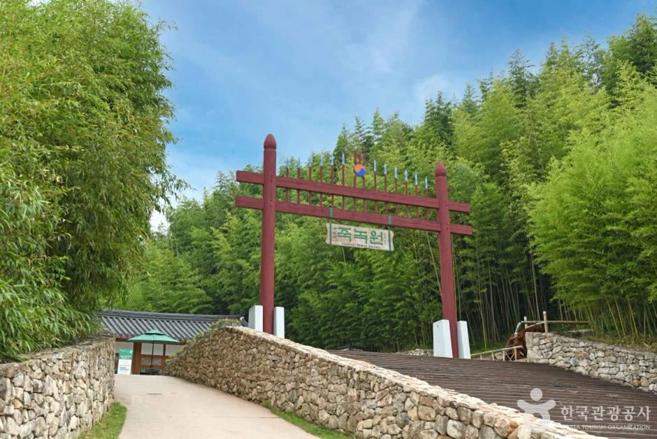 Juknokwon (Bamboo Garden) (죽녹원) — How to Get to Juknokwon from Seoul