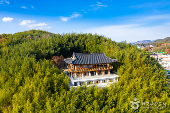 Juknokwon (Bamboo Garden) (죽녹원) — Admission Fee and What Is Inside the Garden
