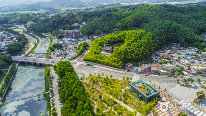 Juknokwon (Bamboo Garden) (죽녹원) — How Long to Allow and the Walking Trails