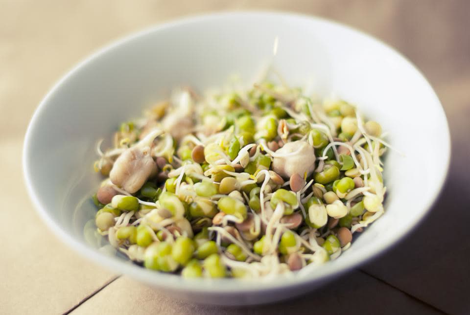 Soybeans Sprouts — Korean Bean Sprout Side Dish in 7 Steps