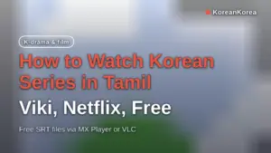 How to Watch Korean Series in Tamil: Viki, Netflix, Free