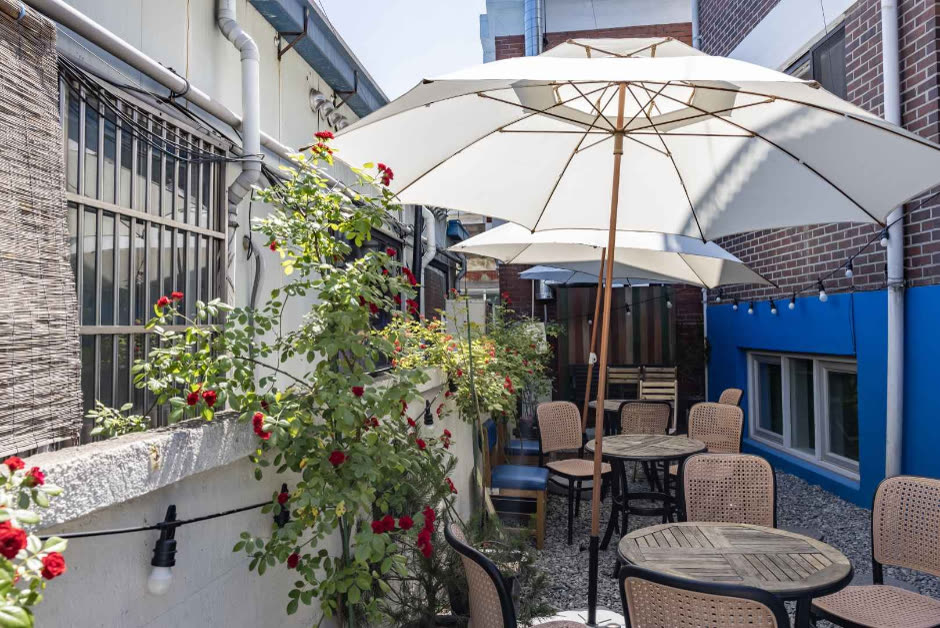Mong Ted — Photo Spots: the Vine Arch, the Yellow Umbrella and Sun-jae's House
