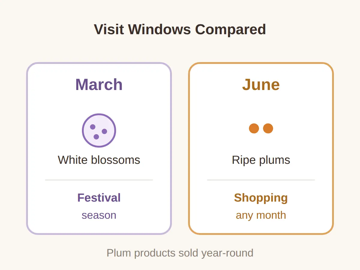 Plum Products and the Festival