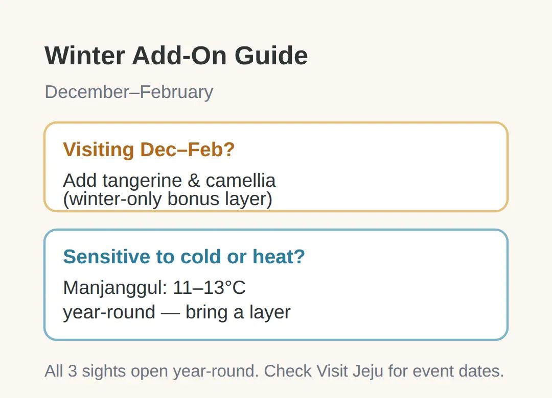 What Can You Add in Winter (December–February)?