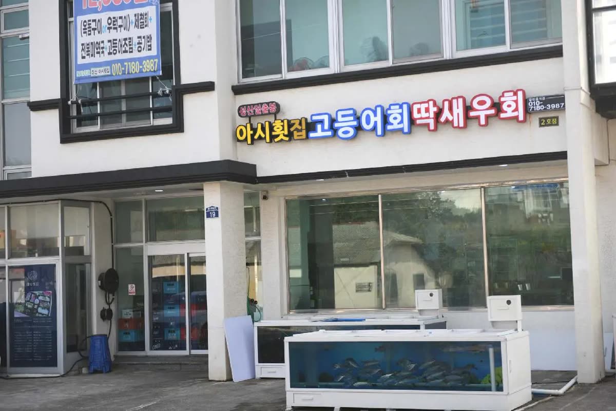 Seongsan Ilchulbong Asi Sashimi Restaurant — What to Order: the Two Signature Fish and How to Say Them